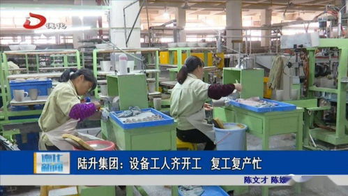 陸升集團 設備工人齊開工 復工復產(chǎn)忙